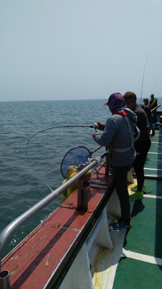 6월15일 아라호 광어다운샷출조