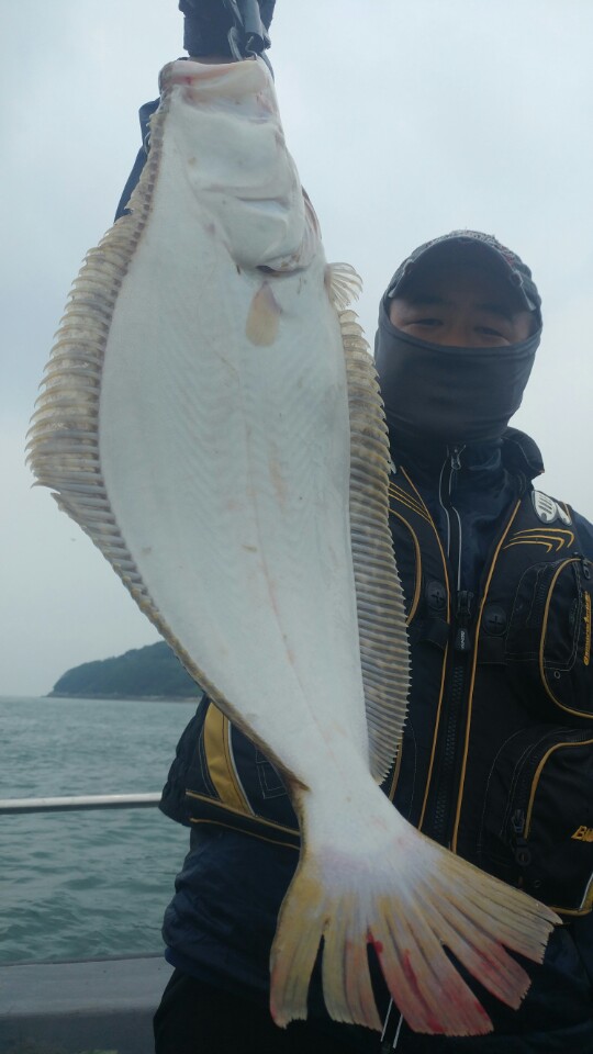 7월9일 아라2호 광어다운샷출조