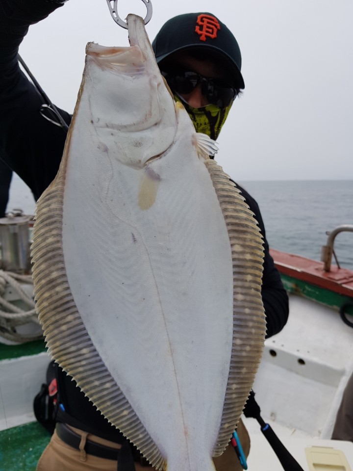 7월8일 아라호 광어다운샷출조 1부