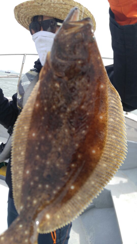 4월28일 올스타호 근해출조