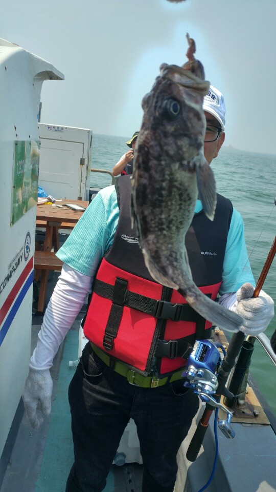 6월16일 아라2호 종일낚시