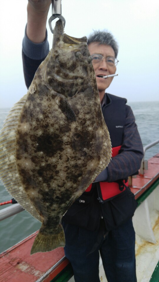 6월 16일 아라호 광어 다운샷 1부