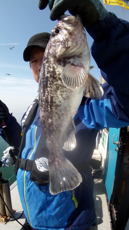 6월5일 올스타호 먼바다우럭출조 2부