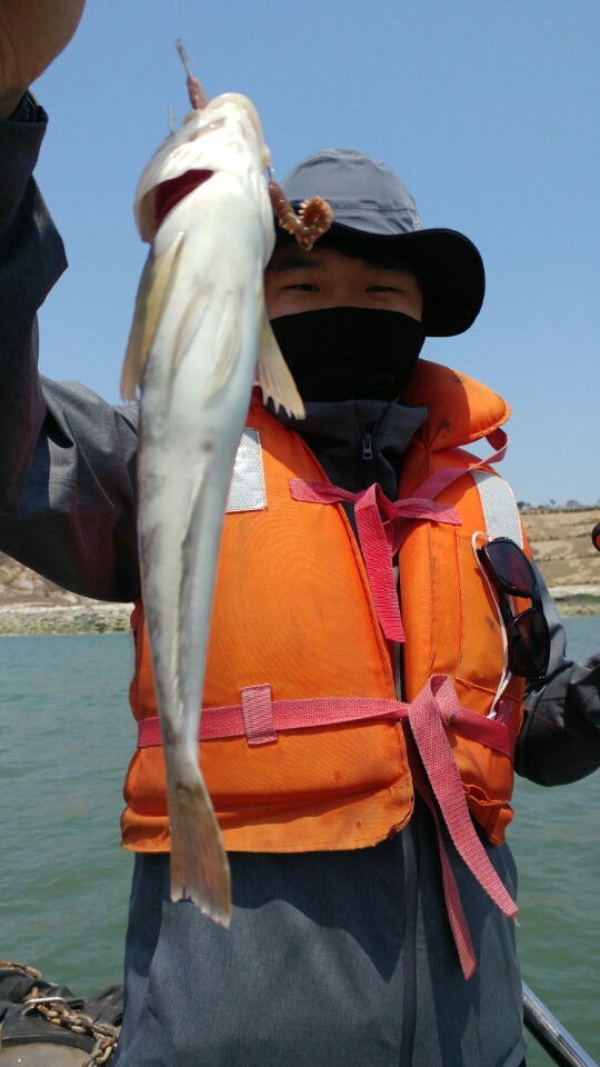 4월29일 아라2호 시간낚시