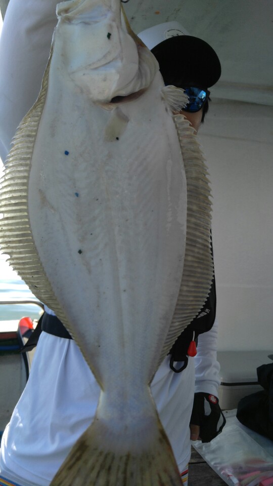 6월5일 아라호 광어다운샷출조