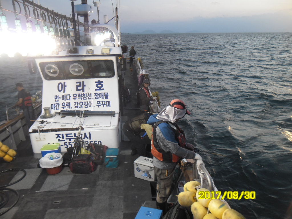 아라호 8월 30일 야간 쭈꾸미 조황