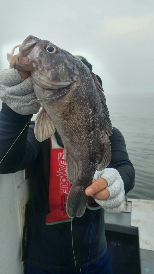 8월19일 아라2호 근해낚시