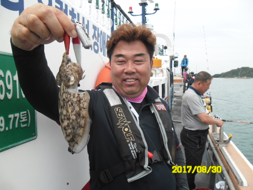 아라호 8월 30일 주간 쭈꾸미 조황