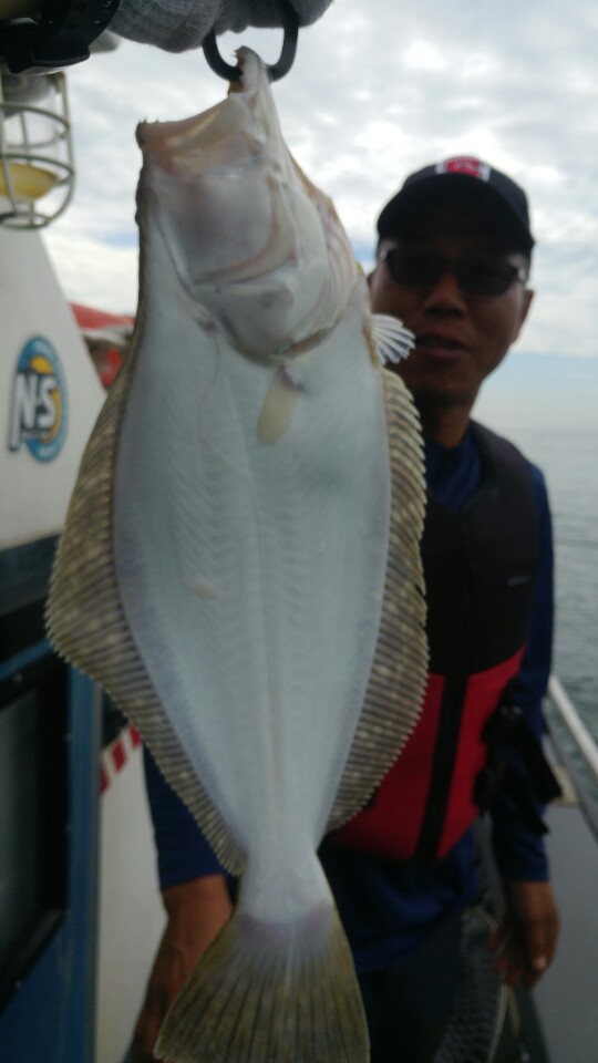 8월27일 아라2호 광어외수질출조