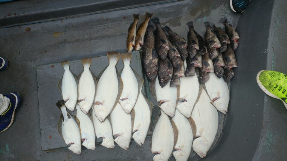 8월27일 아라2호 광어외수질출조