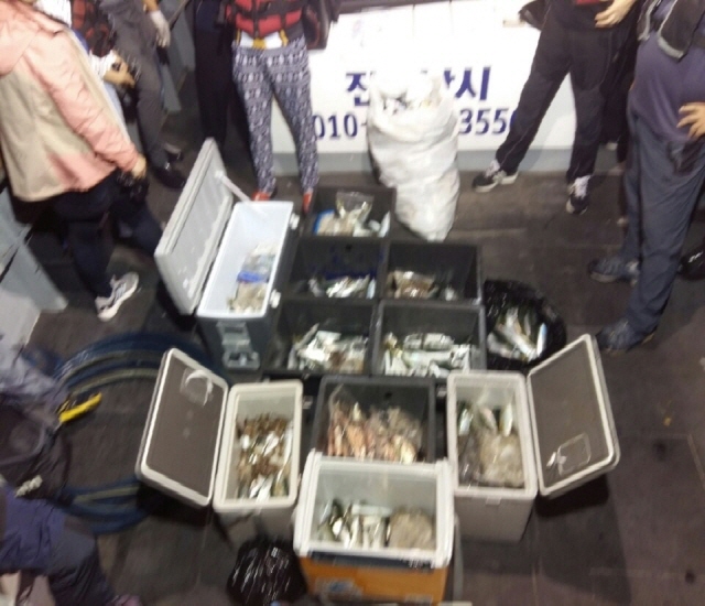 9월25일 아라호 야간고등어.쭈꾸미