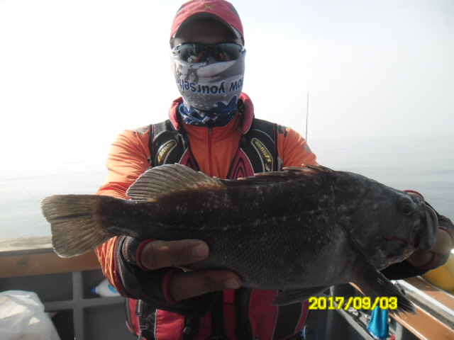 9월3일 아라호 먼~우럭 대박 대박