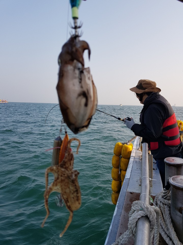 9월26일 올스타호 쭈꾸미출조