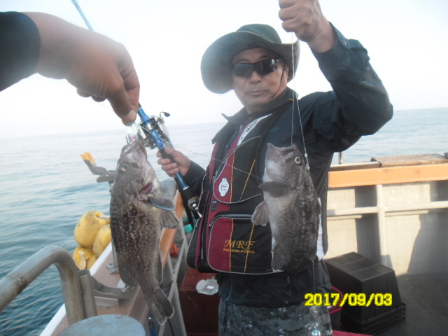 9월3일 아라호 먼~우럭 대박 대박