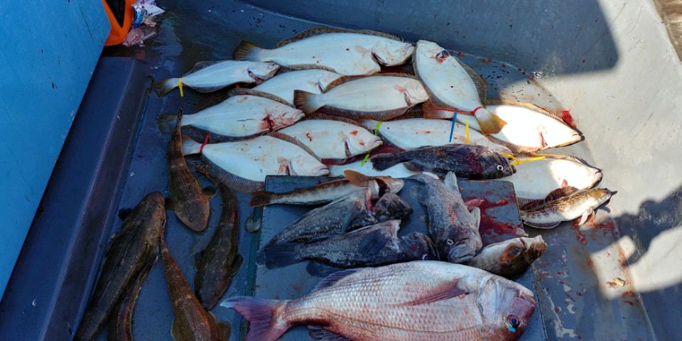 10월21일 다운샷&외수질