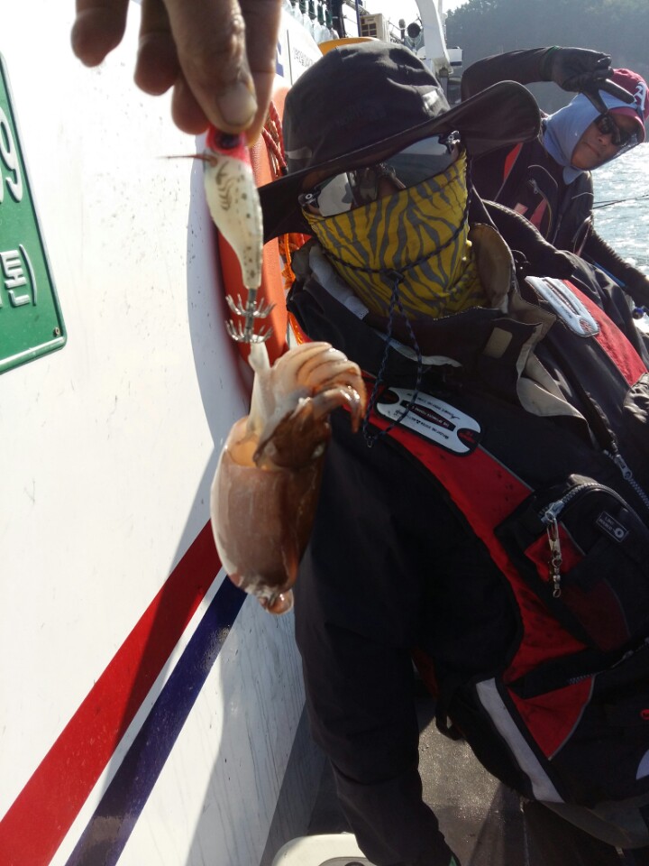 10월21일 쭈,갑오징어