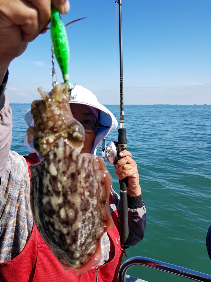 10월7일 올스타호 쭈.갑출조