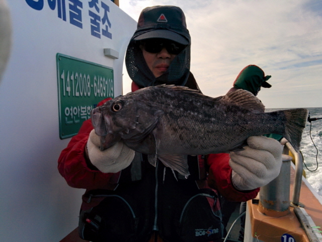 10월14일 아라호 먼~우럭출조