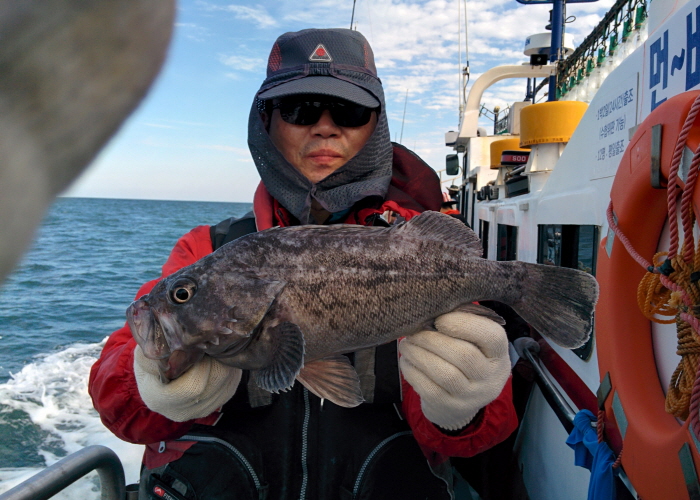 10월14일 아라호 먼~우럭출조