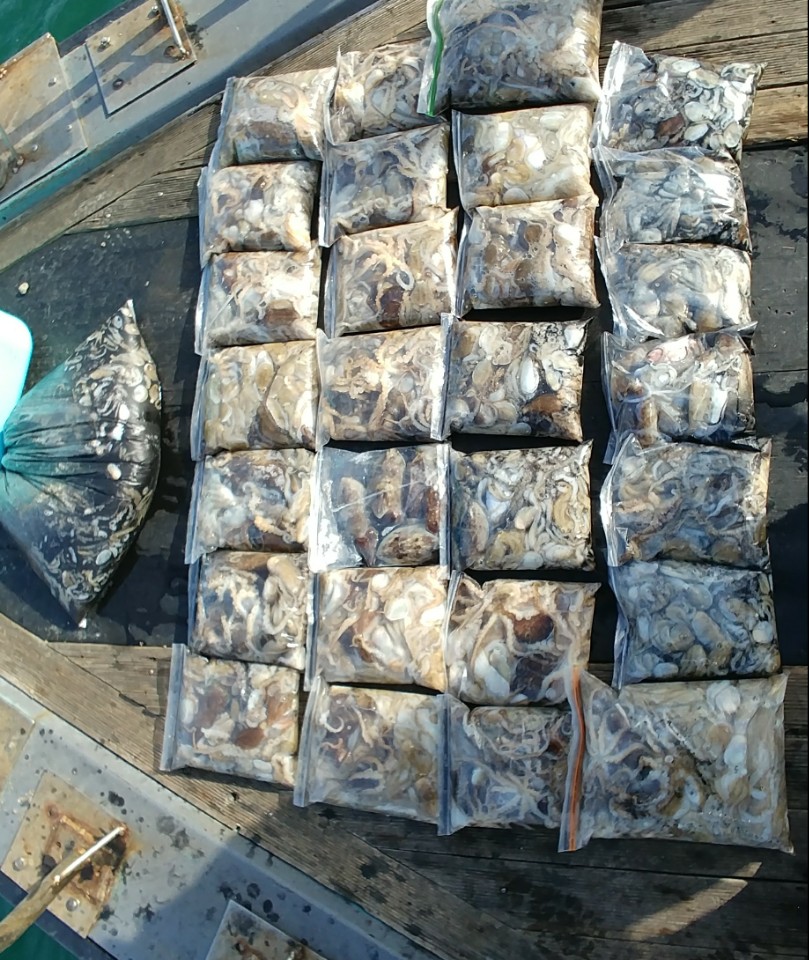 10월14일 아라2호 쭈.갑오징어출조