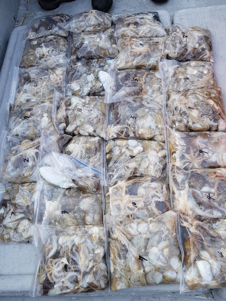 10월13일 올스타호 쭈,갑출조