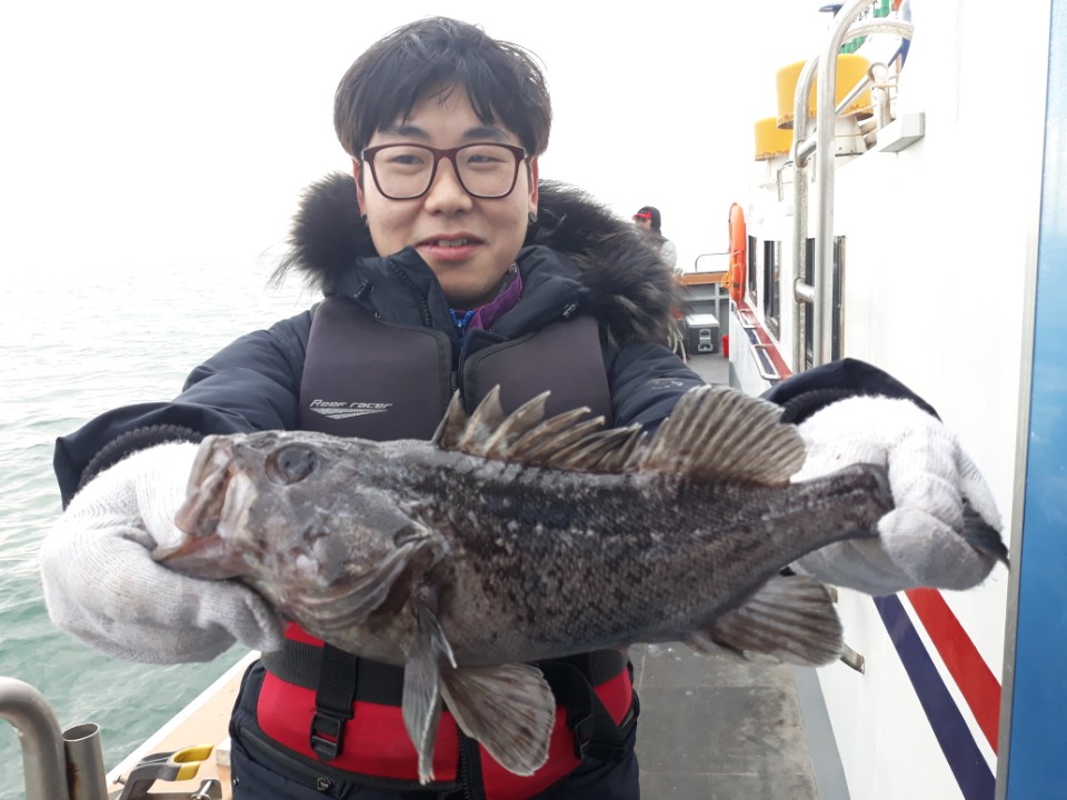 11월28일 근해종일