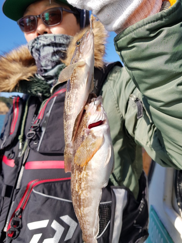 11월11일 오후시간배