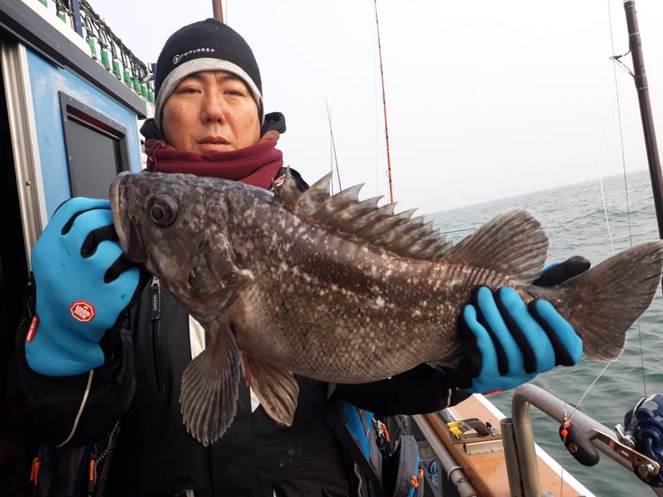 1월20일 먼~바다 우럭출조