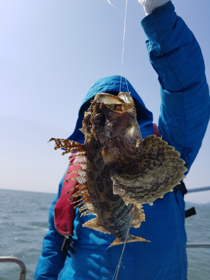 3월10일 올스타호 근해낚시