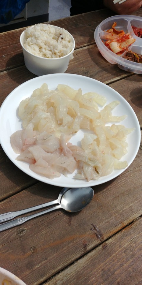 3월28일 근해우럭