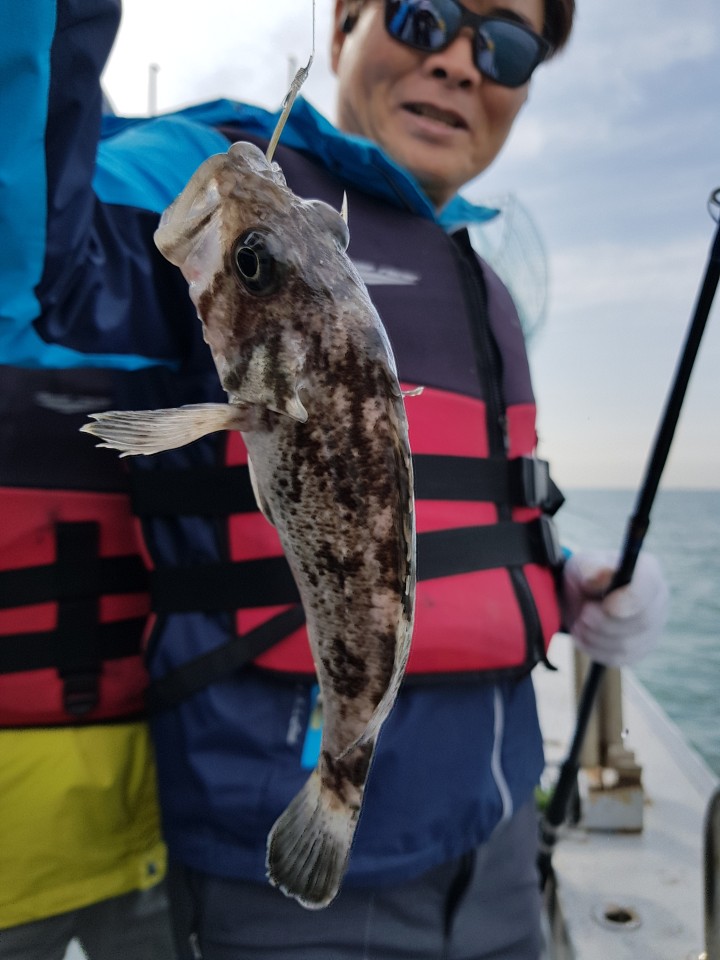 4월26일 진두낚시 올스타호 오후 시간낚시
