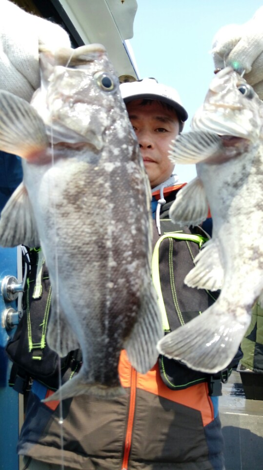 4월25일 영흥도 진두낚시 아라호 먼바다우럭 1부