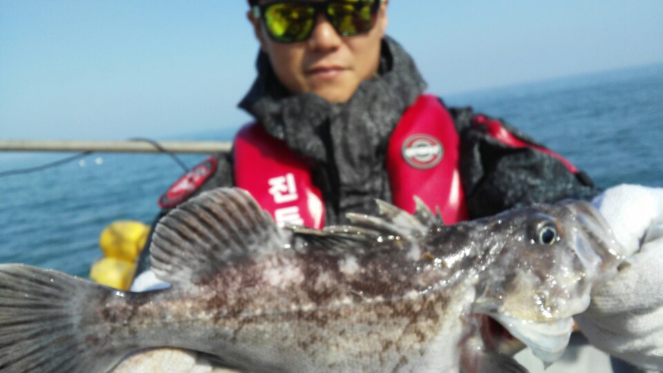 4월25일 영흥도 진두낚시 아라호 먼바다우럭 3부