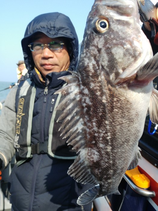 4월29일 진두낚시 아라호 먼바다우럭낚시