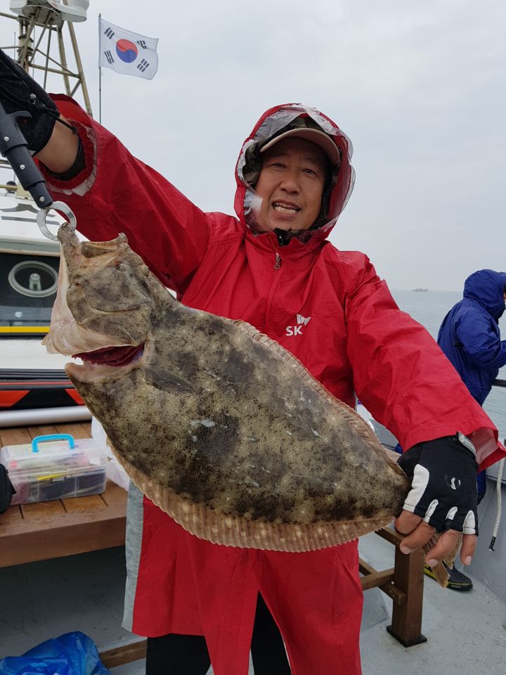 5월22일 진두낚시 올스타호 대광어출조