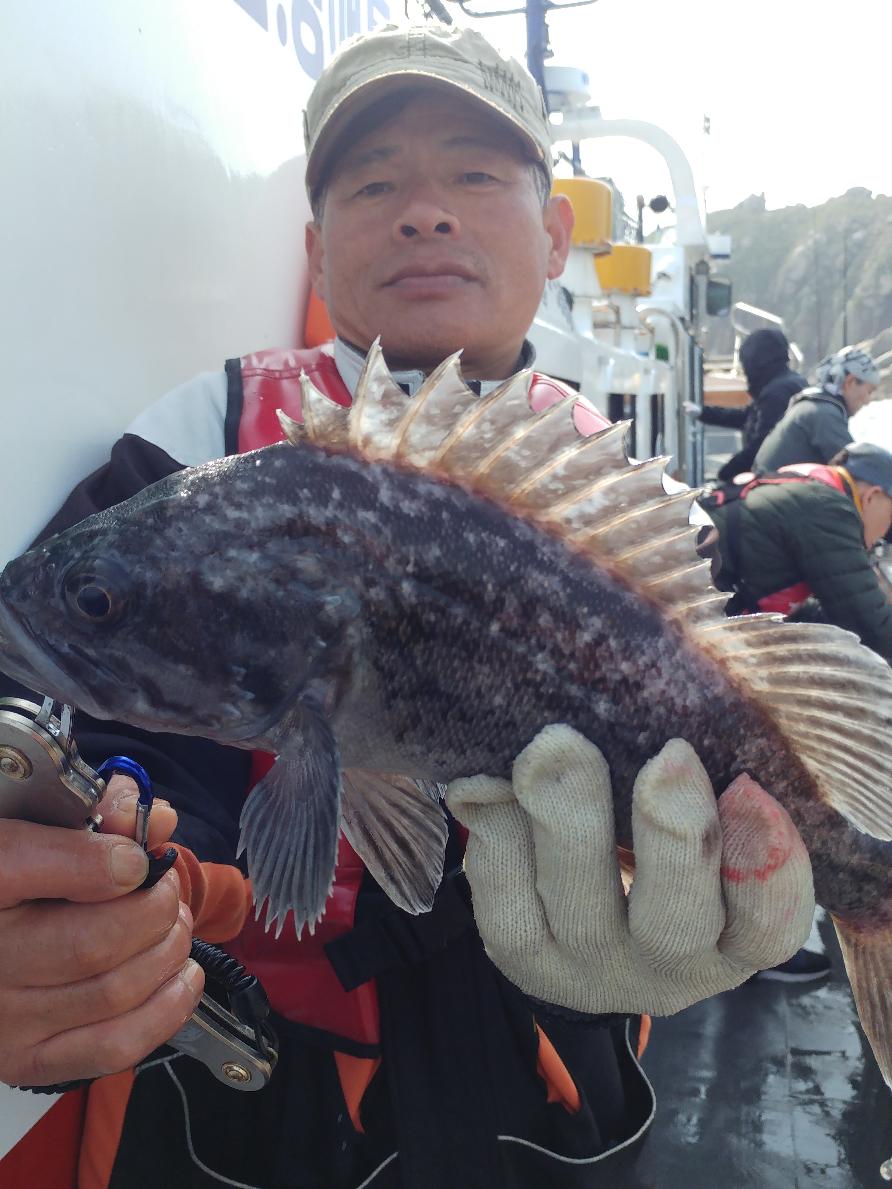 5월5일 진두낚시 아라호 먼~바다 우럭 낚시 조황