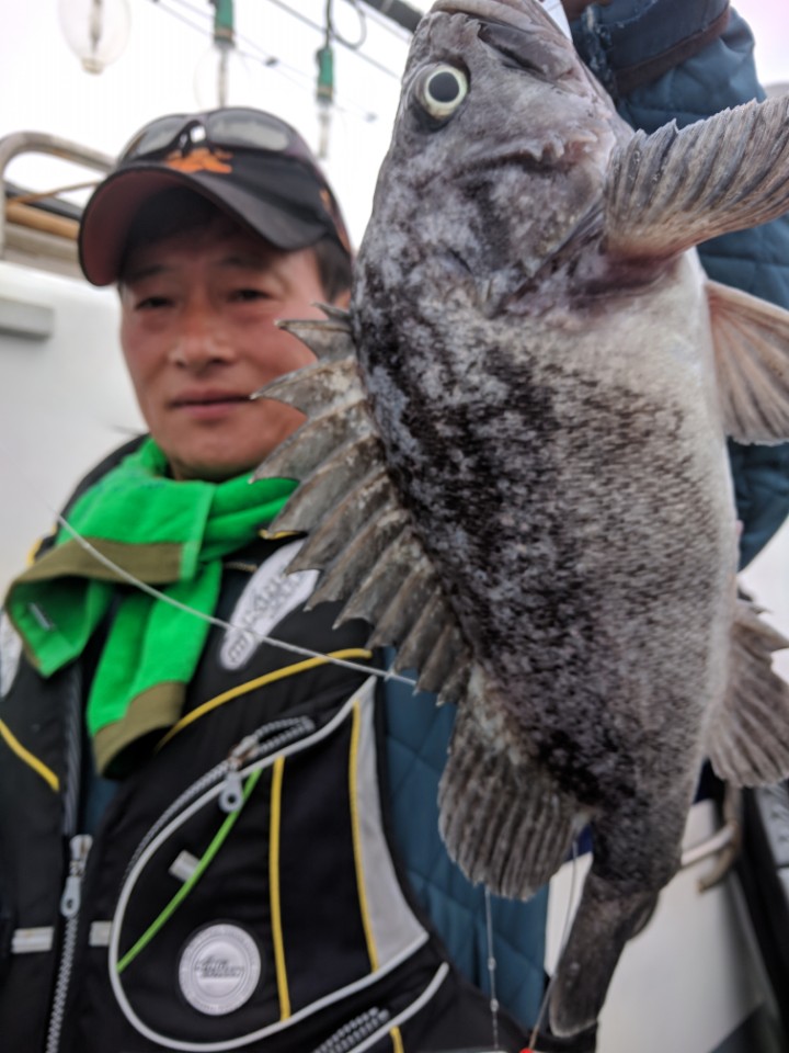 5월11일 진두낚시 아라호 먼바다우럭출조