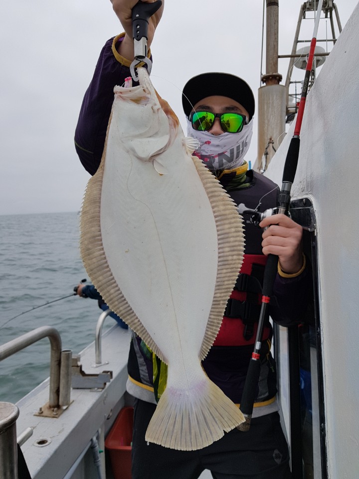 5월13일 진두낚시 올스타호 대광어다운샷출조