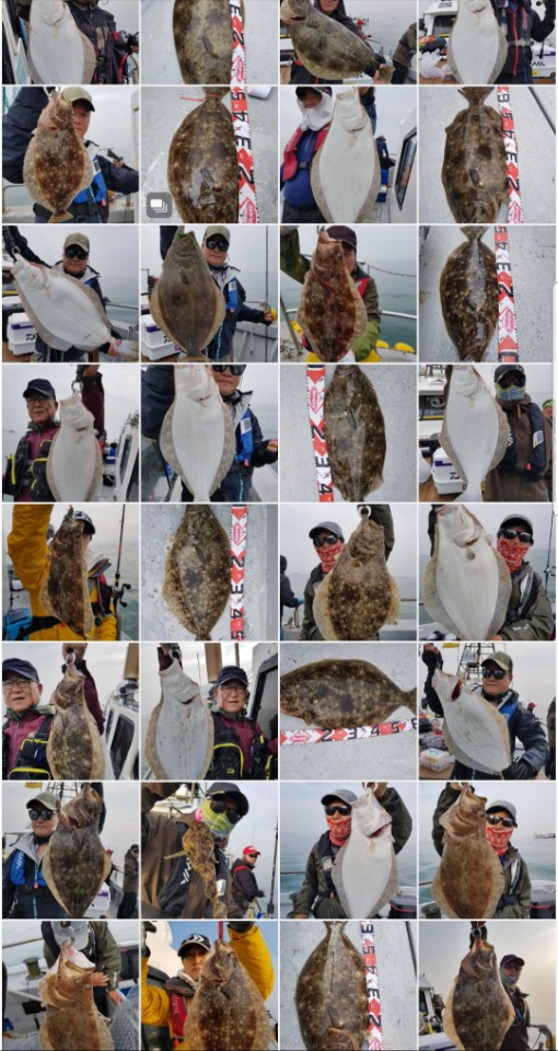 5월22일 진두낚시 올스타호 대광어 다운샷