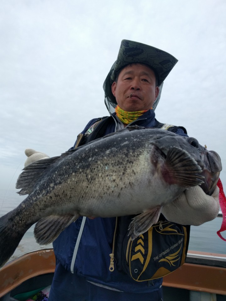 5월27일 진두낚시 아라호 먼바다우럭출조