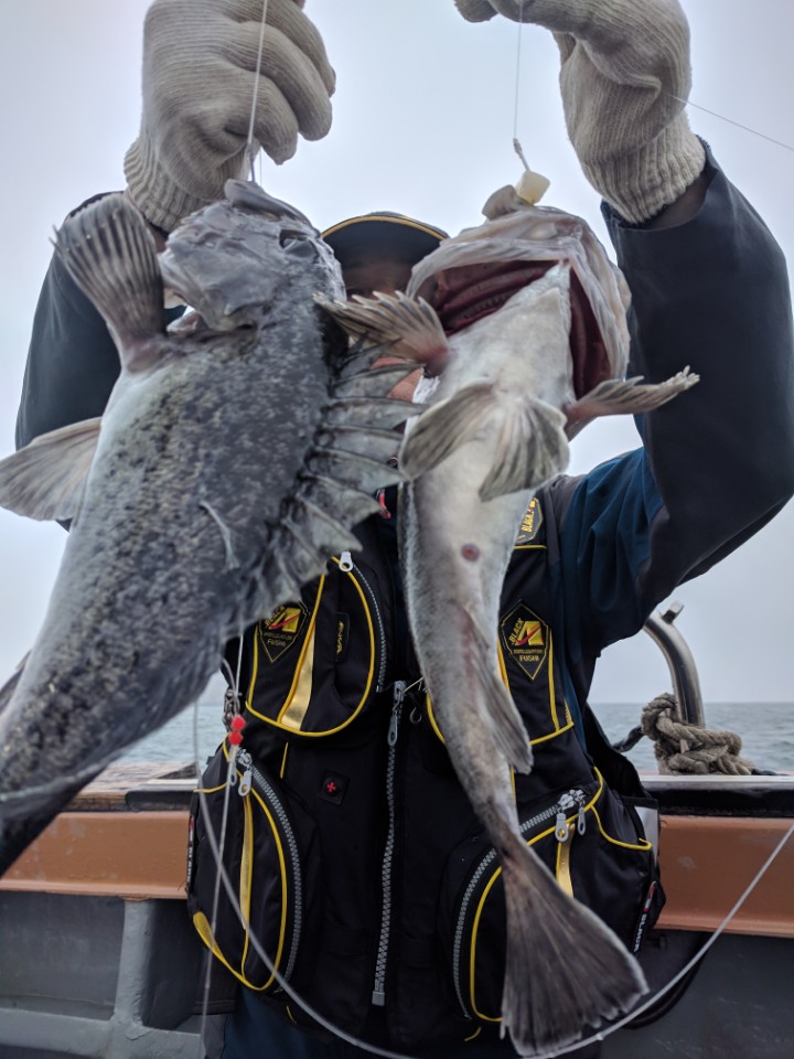 5월10일 진두낚시 아라호 먼바다 우럭 출조