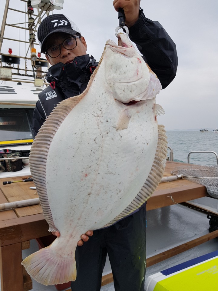 5월7일 진두낚시 올스타호 광어다운샷