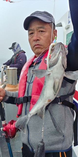 5월10일 진두낚시 아라호 먼바다 우럭 출조