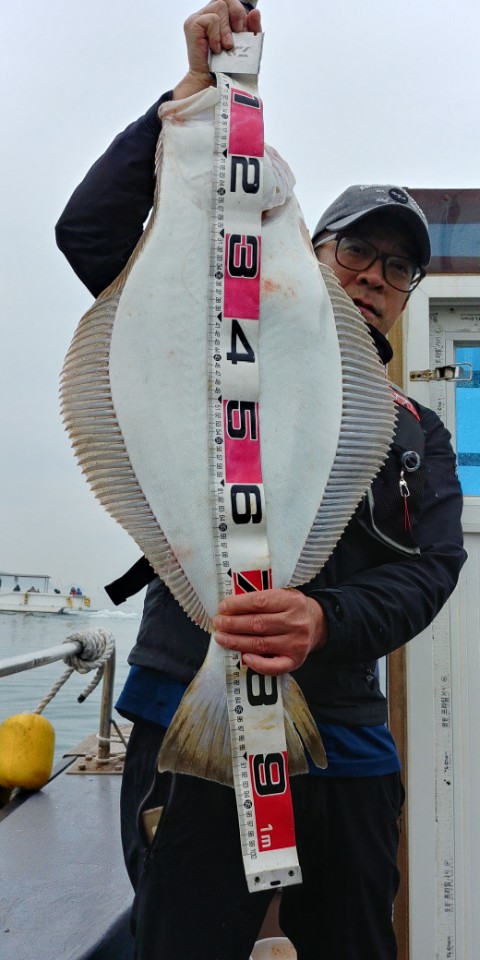 5월22일 진두낚시 아라2호 대광어다운샤출조