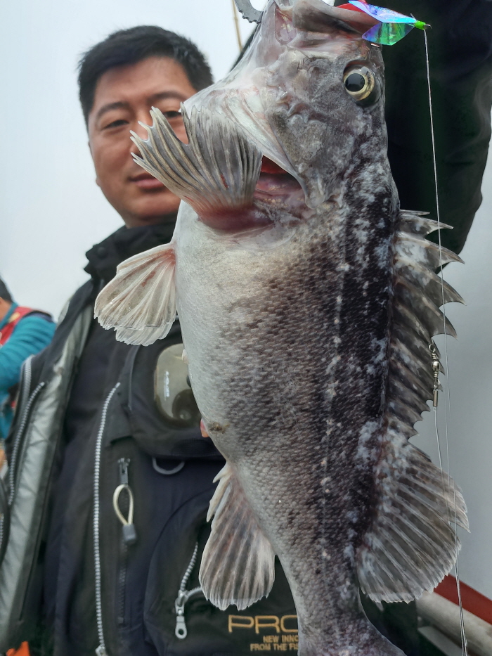 5월13일 진두낚시 아라호 먼바다 우럭낚시