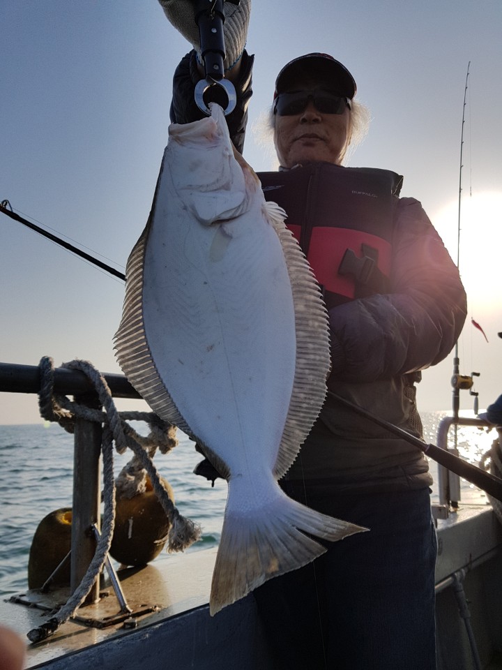 5월10일 진두낚시 올스타호 대광어다운샷출조