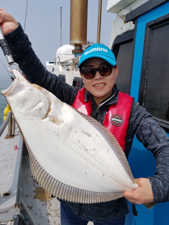 5월14일 진두낚시 올스타호 대광어다운샷출조