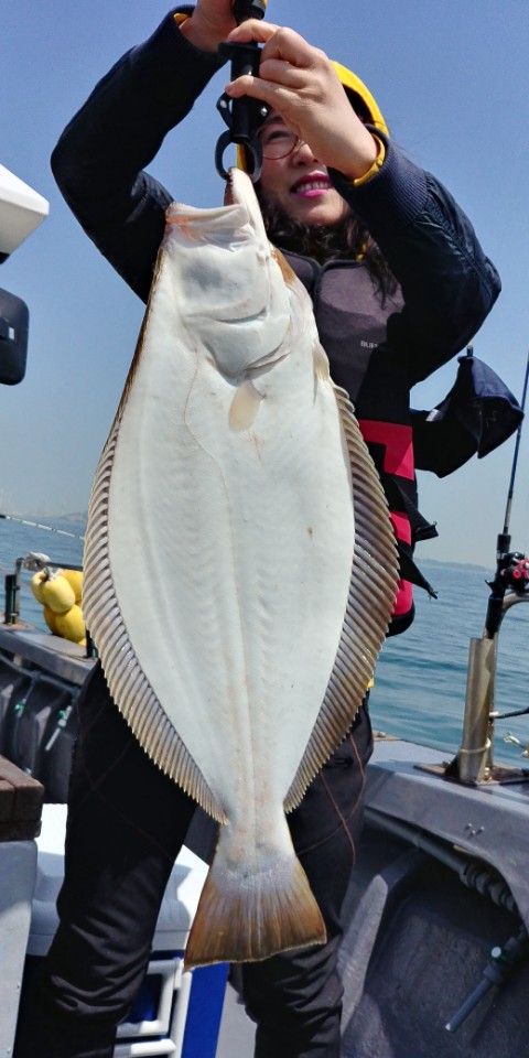 5월24일 진두낚시 아라2호 대광어다운샷출조