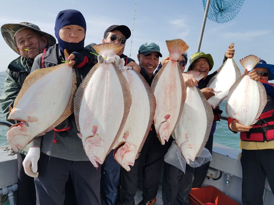 5월24일 진두낚시 올스타호 대광어다운샷출조