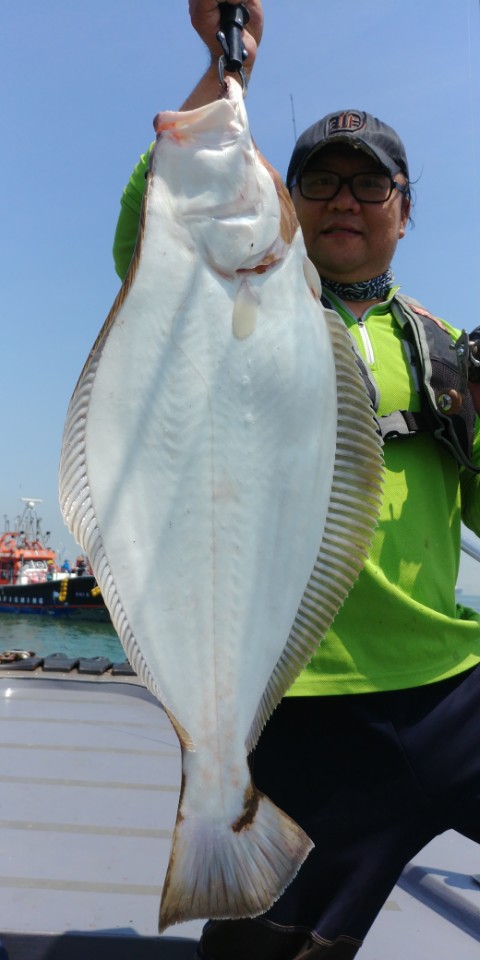 5월28일 진두낚시 아라2호 대광어다운샷출조